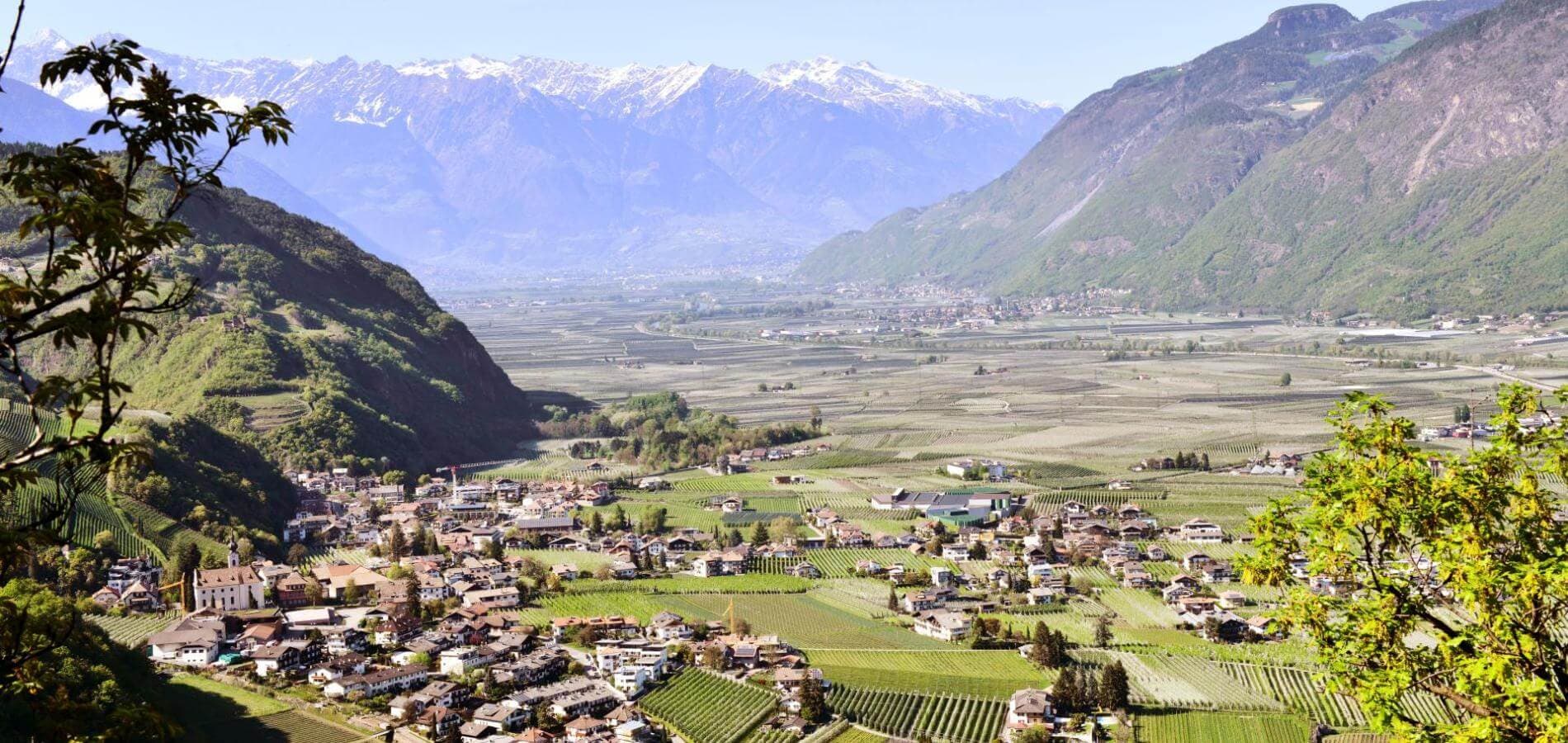 Nals and surroundings