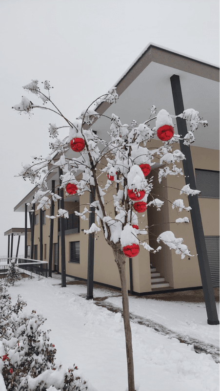 Winter